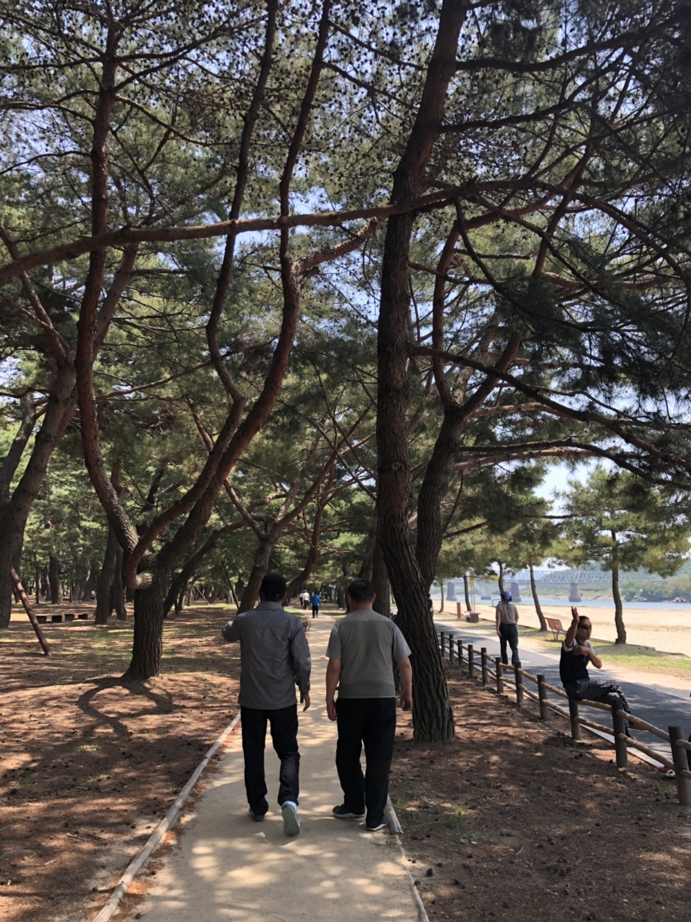 KakaoTalk_20190516_174504695